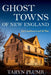 Ghost Towns of New England: Thirty-Two Locations Lost to Time-Taryn Plumb-znshoping.store