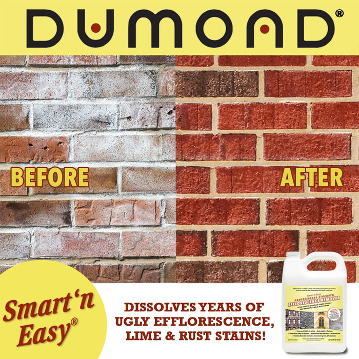 Smart ‘n Easy Efflorescence Remover (1 Gallon)-Dumond-znshoping.store