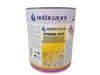 Strong 2000 - Consolidating Impregnator water repellent-Bellinzoni-znshoping.store