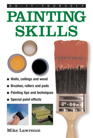 Do It Yourself Painting Skills-National Book Network-znshoping.store