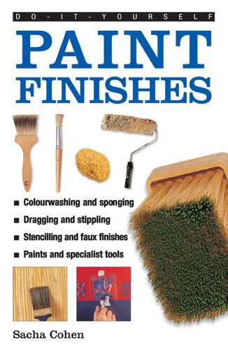 Do It Yourself Paint Finishes-National Book Network-znshoping.store