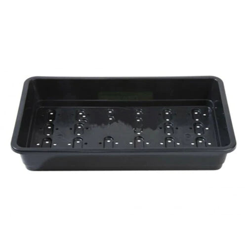 Standard Finds Tray-Past Horizons-znshoping.store