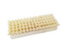 Oblong Scrub Brush-Magnolia Brush-znshoping.store