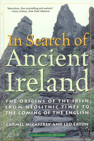 In Search of Ancient Ireland: The Origins of the Irish from Neolithic Times to the Coming of the English-National Book Network-znshoping.store