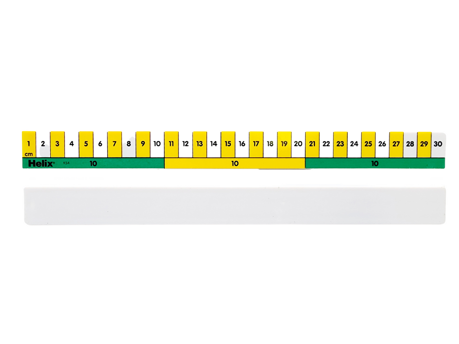 Photo Scale Ruler - 30cm-Past Horizons-znshoping.store