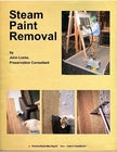 Steam Paint Removal-John Leeke-znshoping.store