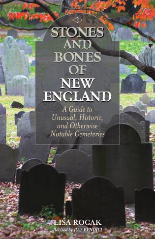 Stones and Bones of New England-National Book Network-znshoping.store